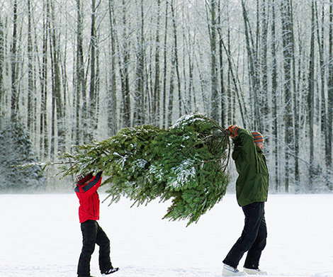 Verizon Holiday Shop